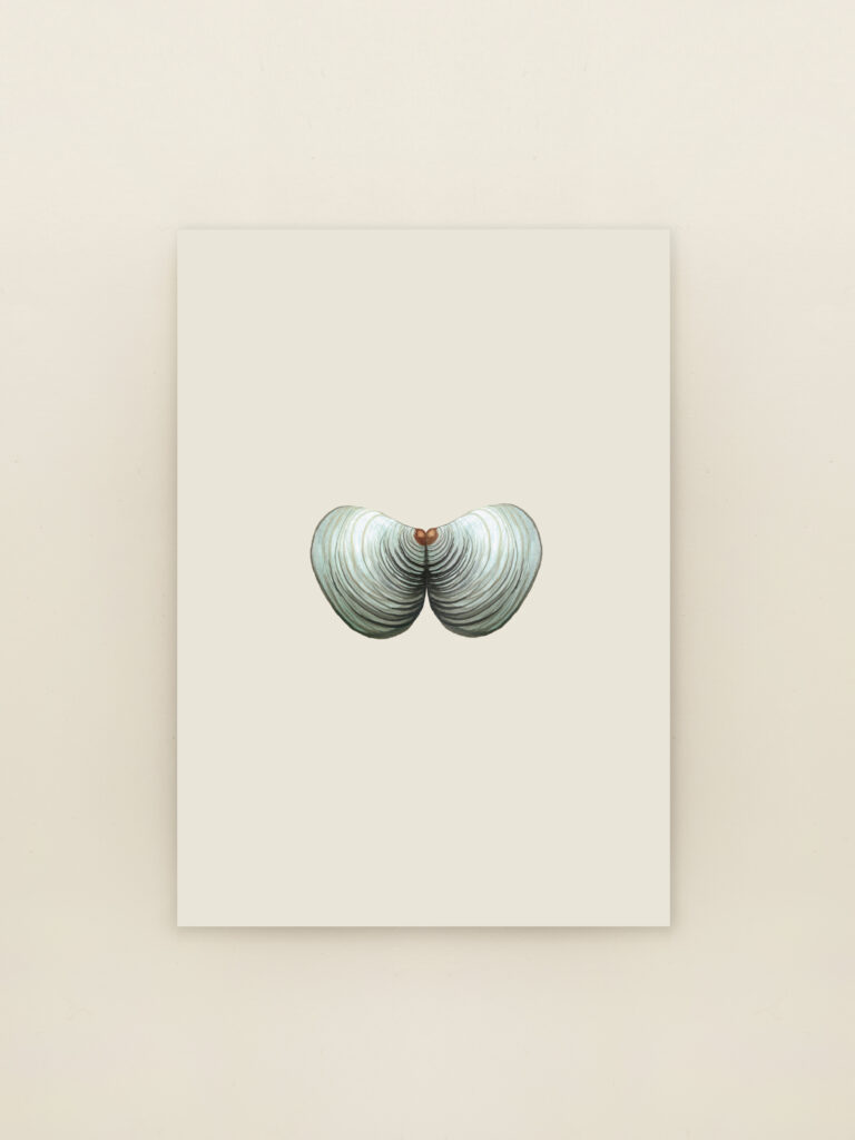 wenskaart A6 kokkels