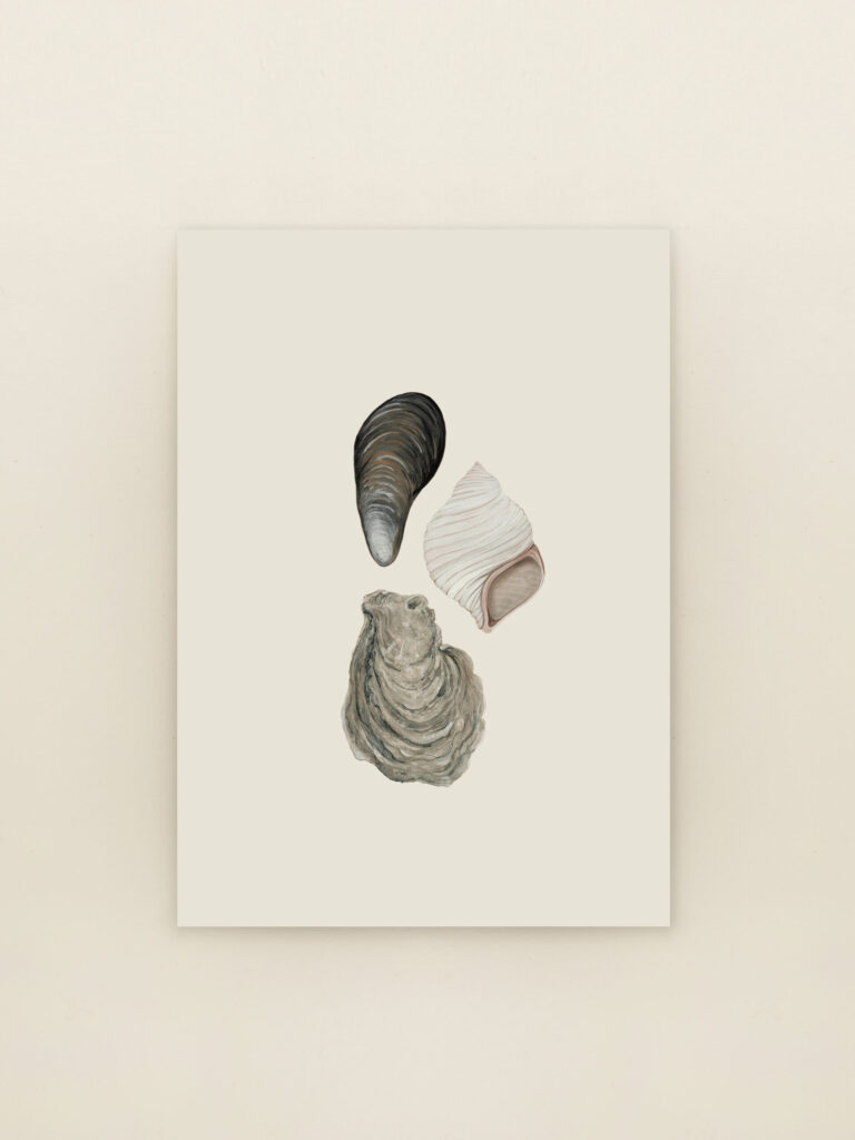 wenskaart A6 Strandvondsten