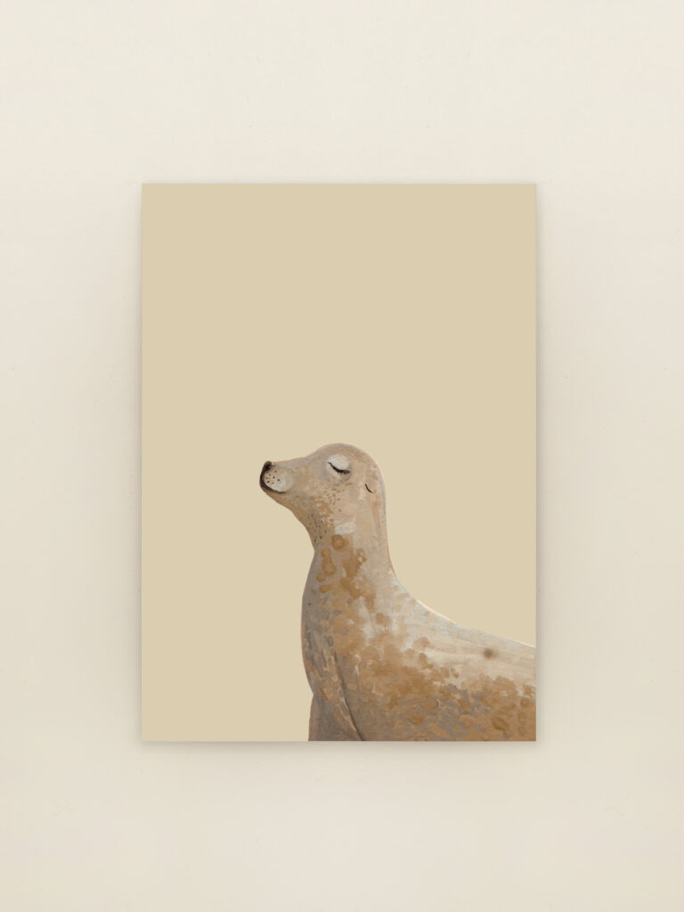 wenskaart a6 zeehond