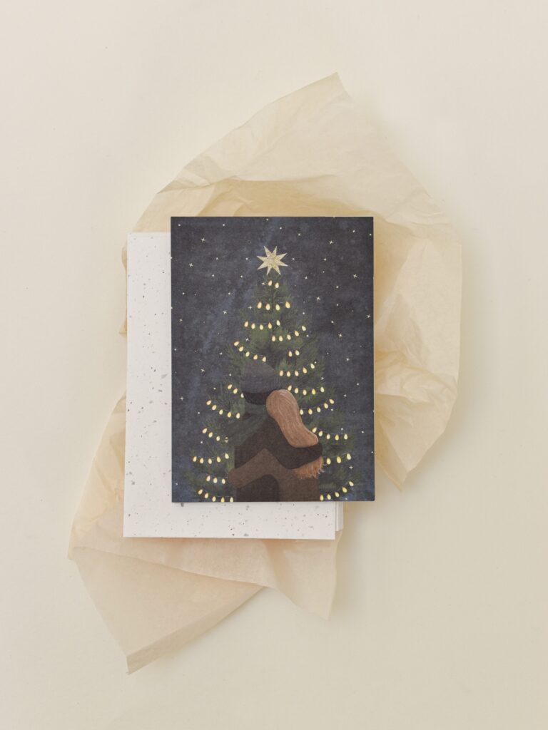 Kerstkaartenset (10)