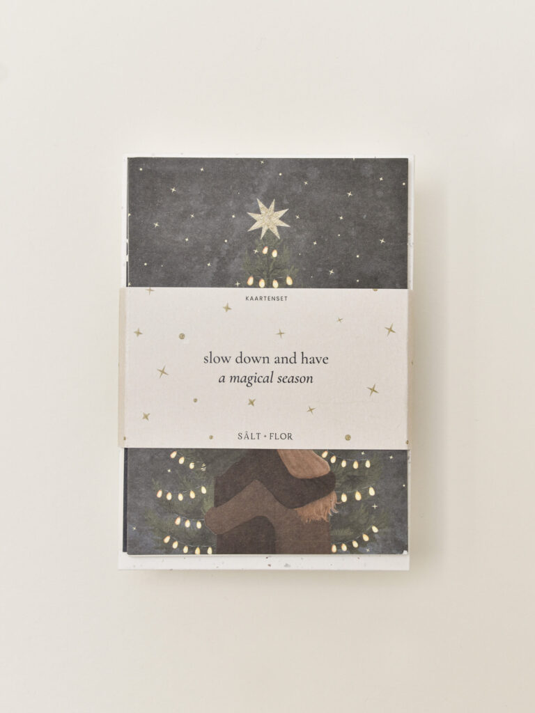 kerstkaartenset + enveloppen (10)